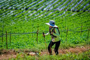 BIB: 
                            <button type="button" onclick="openModal(19164646)" class="btn btn-primary btn-sm float-right btn-popup" data-toggle="modal" data-target=".modal-high-quality">
                        <i class="fas fa-shopping-cart"></i> Add to Cart
                    </button>
                                            <button type="button" onclick="isThisMe(19164646, true)" class="btn btn-success btn-sm float-right btn-popup btn-isme hidden" data-toggle="tooltip" data-placement="bottom" title="นี่คือรูปของคุณใช่ไหม คลิกที่นี่เพื่อเอาเข้าอัลบั้ม">
                        <i class="fas fa-plus"></i> Add to album
                    </button>
                    <button type="button" onclick="isThisMe(19164646, false)" class="btn btn-warning btn-sm float-right btn-popup btn-isnotme hidden">
                        <i class="fas fa-ban"></i> Remove from album
                    </button>